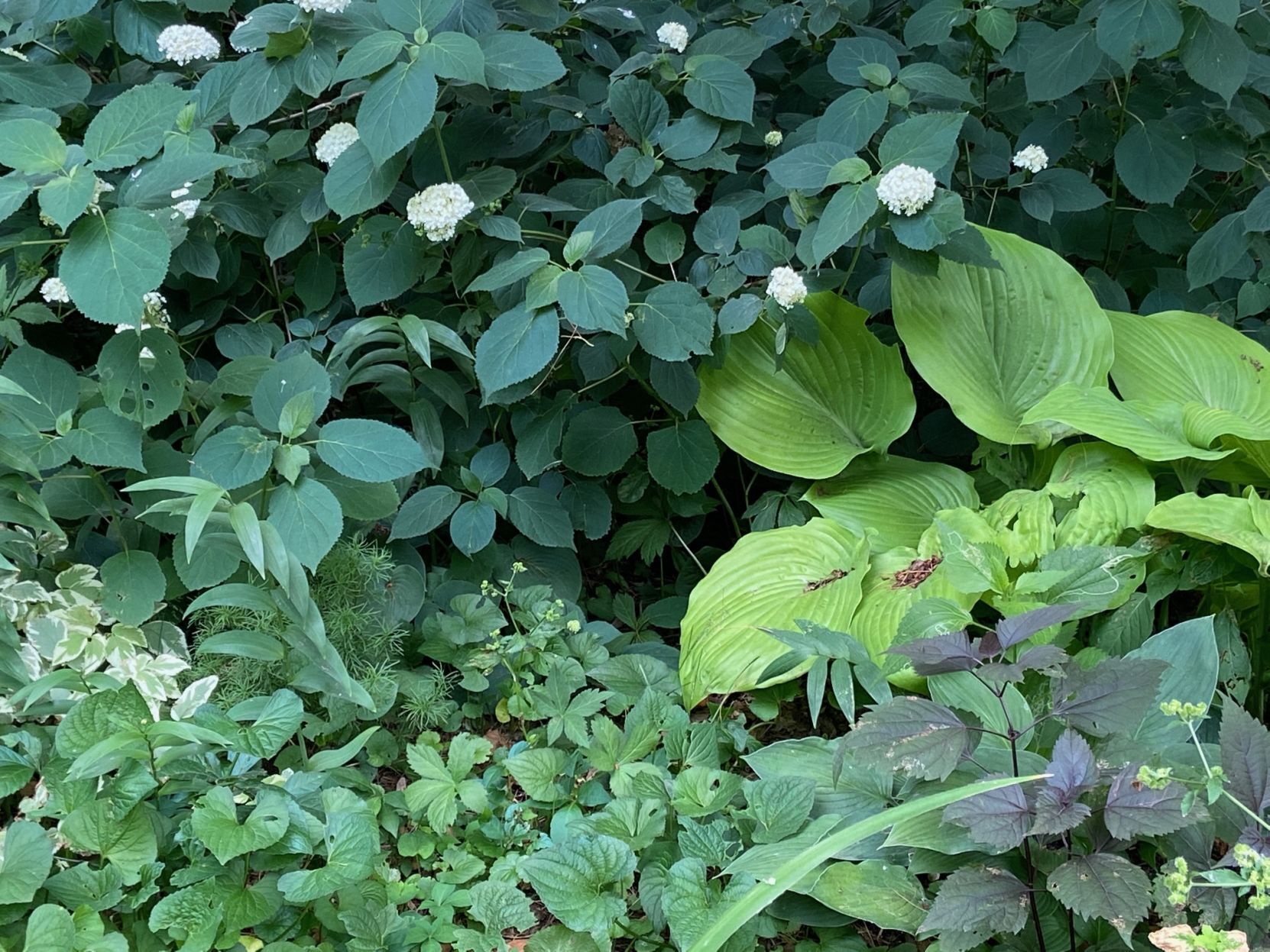 green.jpg